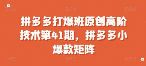拼多多打爆班原创高阶技术第41期，拼多多小爆款矩阵-源码天堂