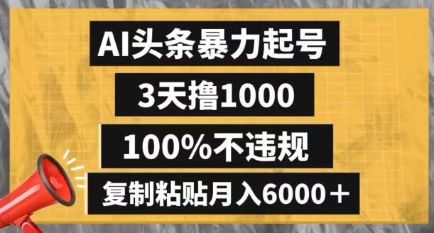 AI头条暴力起号，3天撸1000,100%不违规，复制粘贴月入6000＋【揭秘】-源码天堂