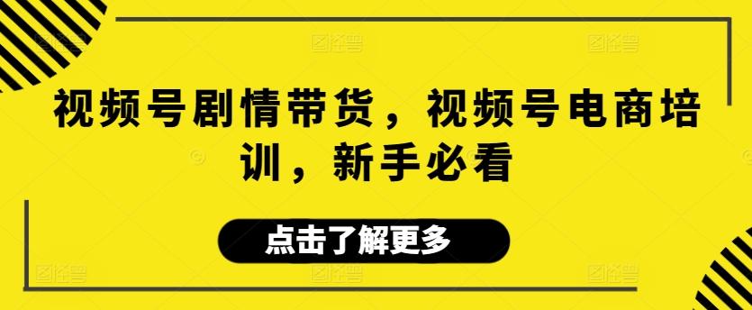 视频号剧情带货，视频号电商培训，新手必看-源码天堂