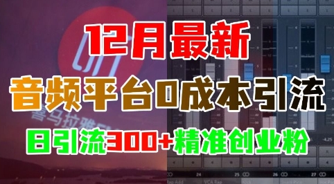 12月最新：音频平台0成本引流，日引流300+精准创业粉-源码天堂
