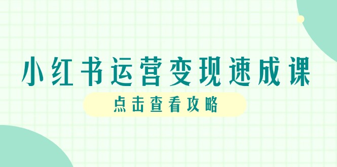 小红书运营变现速成课，账号搭建到暴力起号，个人IP全流程指南-源码天堂