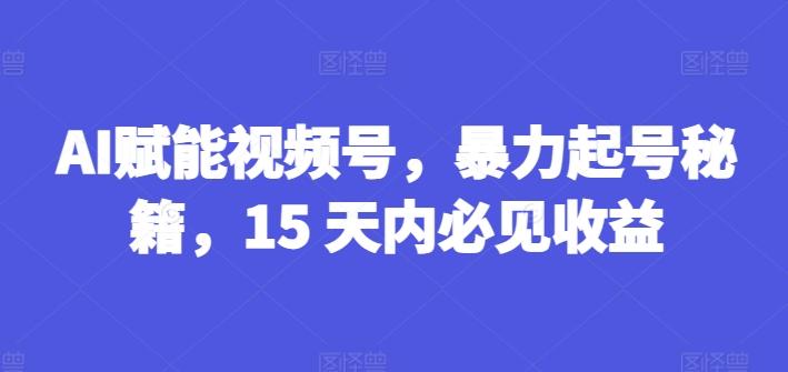 AI赋能视频号，暴力起号秘籍，15 天内必见收益【揭秘】-源码天堂