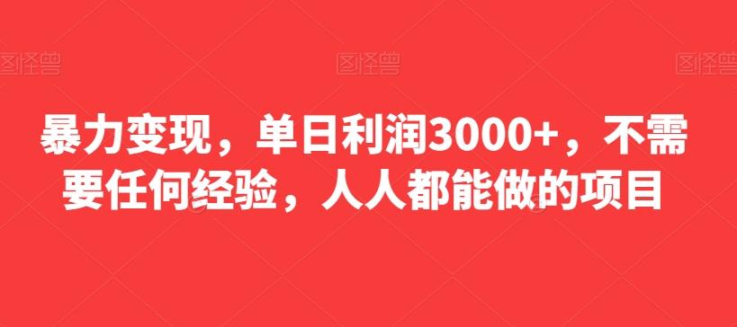 暴力变现，单日利润3000+，不需要任何经验，人人都能做的项目-源码天堂