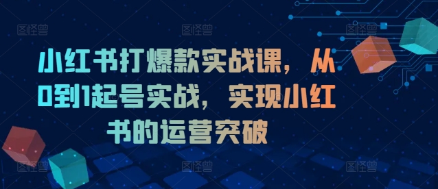 小红书打爆款实战课，从0到1起号实战，实现小红书的运营突破-源码天堂