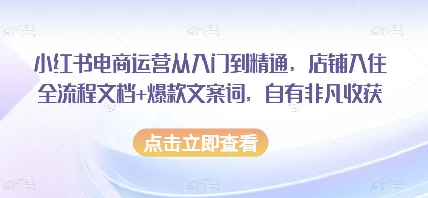 小红书电商运营从入门到精通，店铺入住全流程文档+爆款文案词，自有非凡收获-源码天堂
