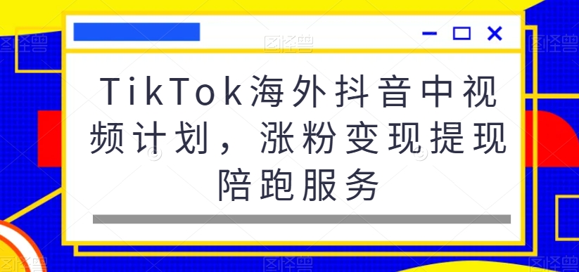 TikTok海外抖音中视频计划，涨粉变现提现陪跑服务-源码天堂