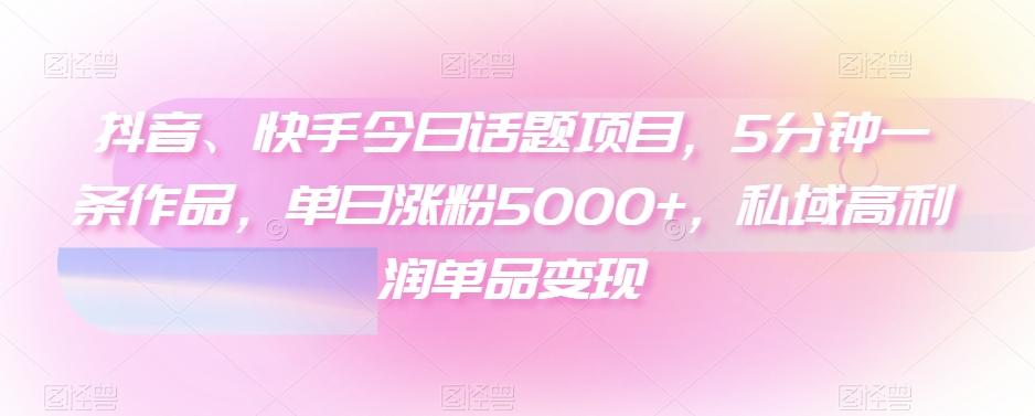 抖音、快手今日话题项目，5分钟一条作品，单日涨粉5000+，私域高利润单品变现-源码天堂