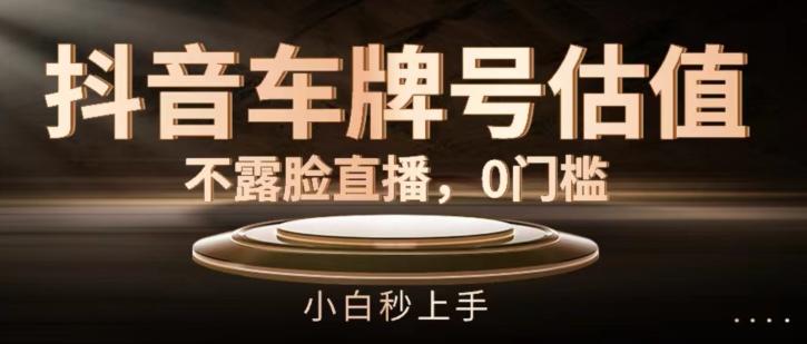 抖音车牌号估值，不露脸直播，0门槛，小白秒上手【揭秘】-源码天堂