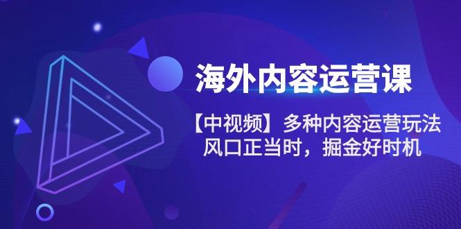 海外内容 运营课【中视频】多种内容运营玩法 风口正当时 掘金好时机-101节-源码天堂
