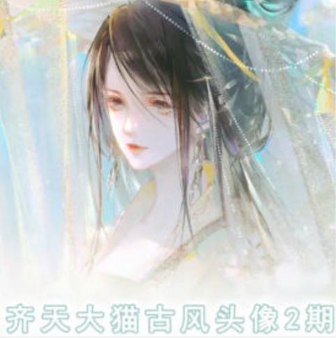 齐天大猫古风头像课第2期，帮助您提高您的绘画技能-源码天堂
