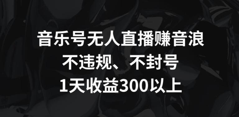 音乐号无人直播赚音浪，不违规、不封号，1天收益300+【揭秘】-源码天堂