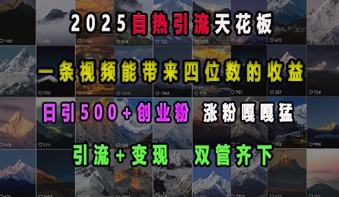 2025自热引流天花板，一条视频能带来四位数的收益，引流+变现双管齐下，日引500+创业粉，涨粉嘎嘎猛-源码天堂