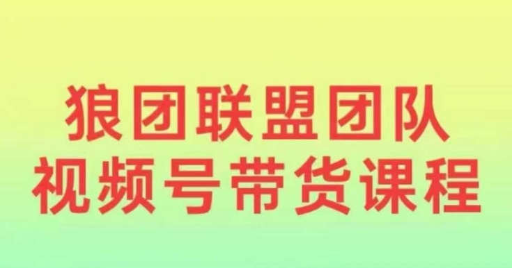 狼团联盟2024视频号带货，0基础小白快速入局视频号-源码天堂