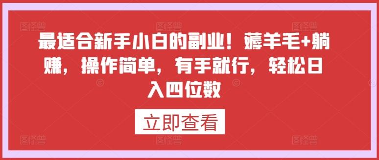 最适合新手小白的副业！薅羊毛+躺赚，操作简单，有手就行，轻松日入四位数【揭秘】-源码天堂