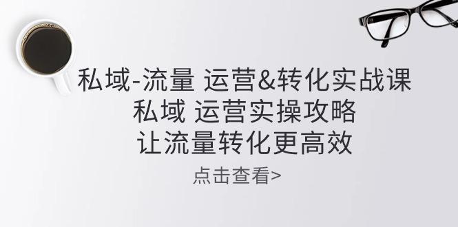 私域-流量 运营&转化实操课：私域 运营实操攻略 让流量转化更高效-源码天堂
