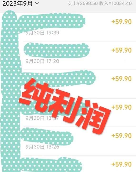 卖恢复近视教程1单59.9，1个月净赚10034.4元？0基础可上手-源码天堂