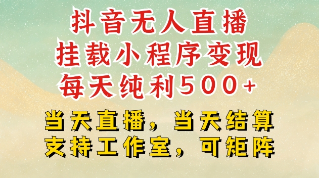 抖音无人直播挂载小程序变现每天纯利500+当天直播，当天结算支持工作室，可矩阵【揭秘】-源码天堂