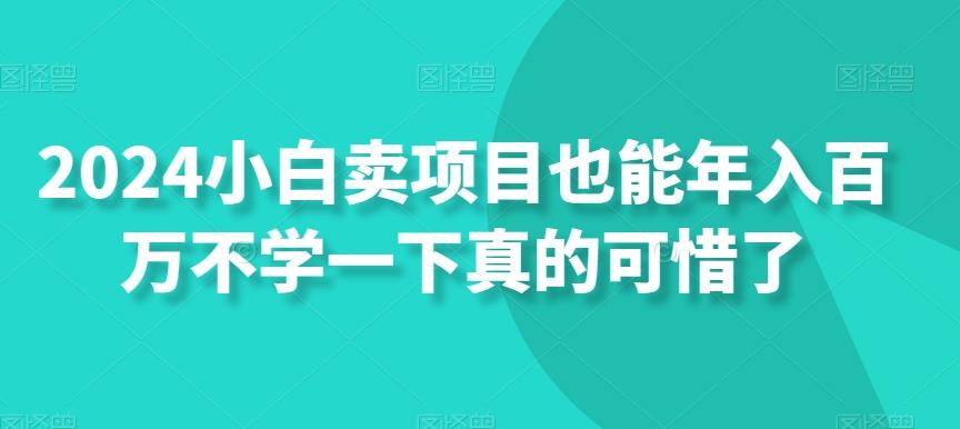 2024小白卖项目也能年入百万不学一下真的可惜了-源码天堂