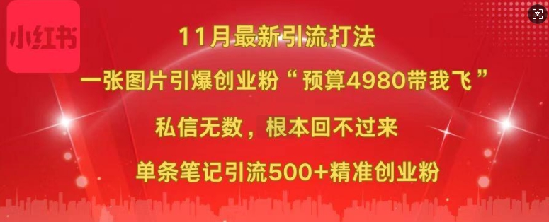 小红书11月最新图片打粉，一张图片引爆创业粉，“预算4980带我飞”，单条引流500+精准创业粉-源码天堂