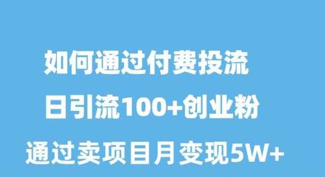 如何通过付费投流日引流100+创业粉月变现5W+-源码天堂