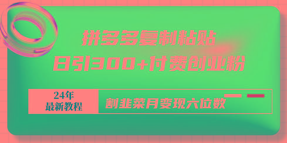 拼多多复制粘贴日引300+付费创业粉，割韭菜月变现六位数最新教程！-源码天堂