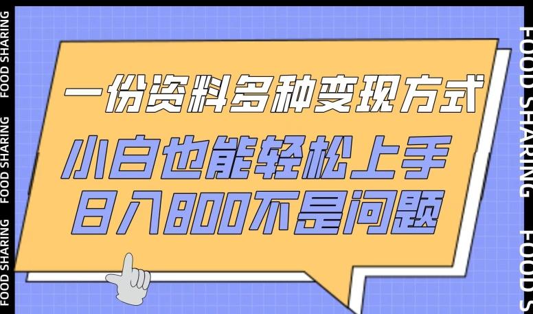 一份资料多种变现方式，小白也能轻松上手，日入800不是问题【揭秘】-源码天堂