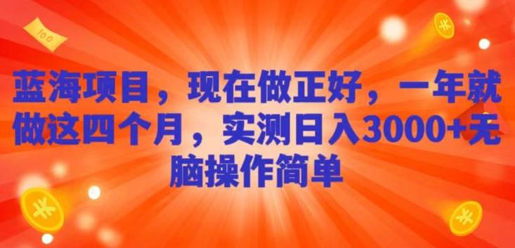 蓝海项目，现在做正好，一年就做这4个月，实测日入3000+，无脑简单操作-源码天堂