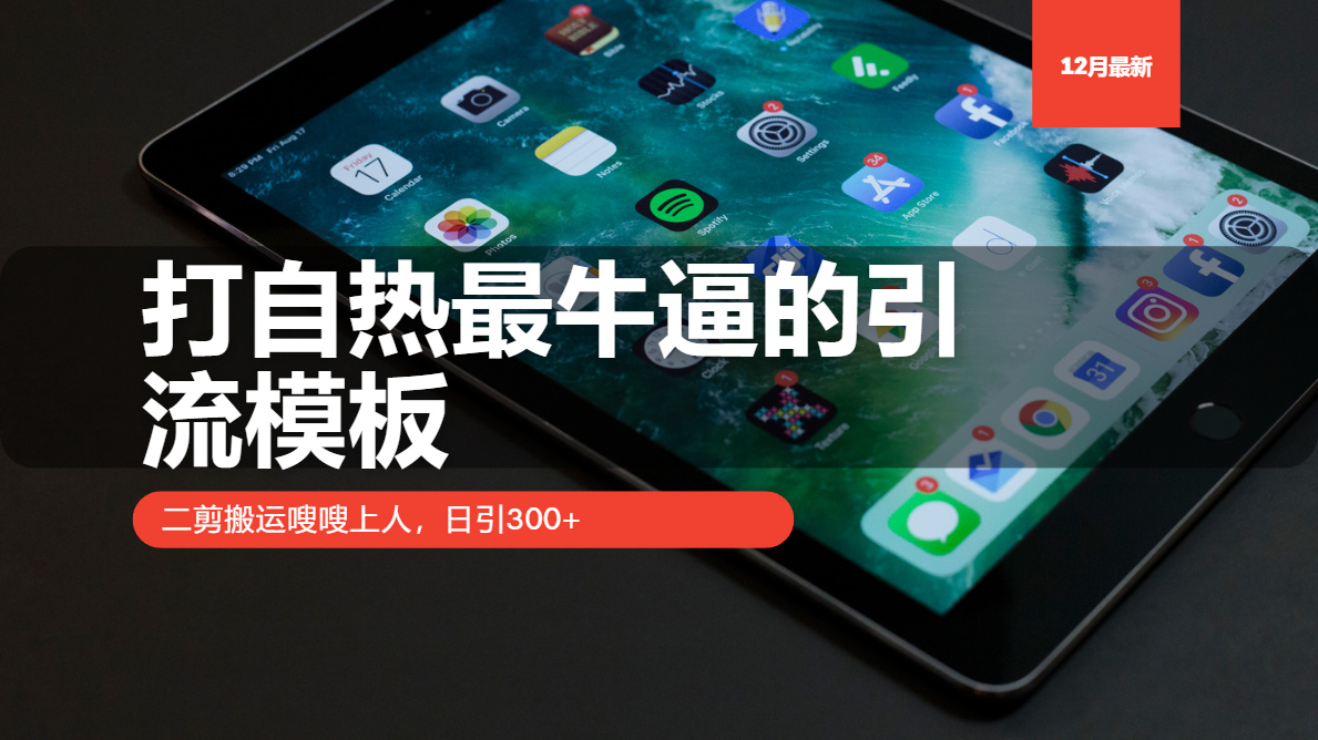 打自热最牛逼的引流模板，二剪搬运嗖嗖上人，日引300+-源码天堂