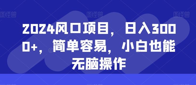 2024风口项目，日入3000+，简单容易，小白也能无脑操作-源码天堂