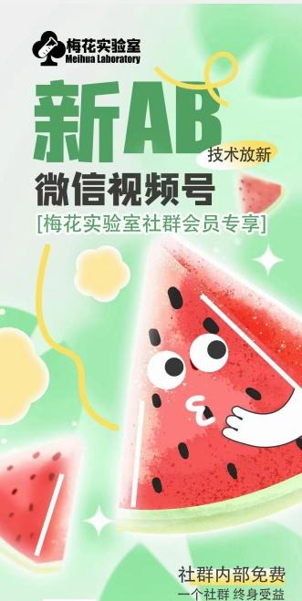 梅花实验室2024年AB技术视频号AB合成破解版-源码天堂