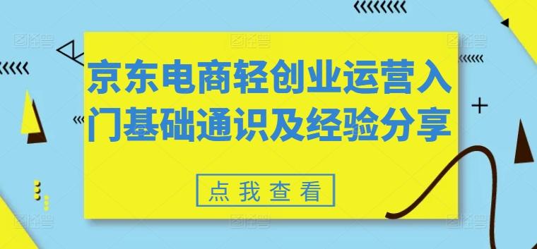 京东电商轻创业运营入门基础通识及经验分享-源码天堂