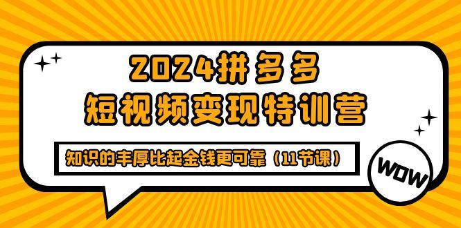 (9817期)2024拼多多短视频变现特训营，知识的丰厚比起金钱更可靠(11节课)-源码天堂