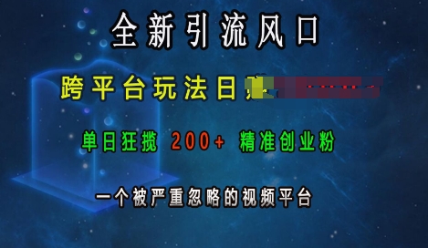 全新引流风口，跨平台玩法日入上k，单日狂揽200+精准创业粉，一个被严重忽略的视频平台-源码天堂