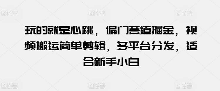 玩的就是心跳，偏门赛道掘金，视频搬运简单剪辑，多平台分发，适合新手小白【揭秘】-源码天堂