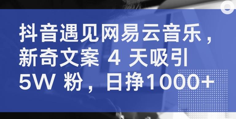 抖音遇见网易云音乐，新奇文案 4 天吸引 5W 粉，日挣1000+【揭秘】-源码天堂