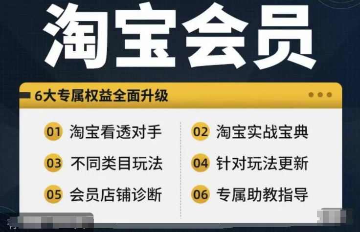 淘宝会员【淘宝所有课程，全面分析对手】，初级到高手全系实战宝典-源码天堂
