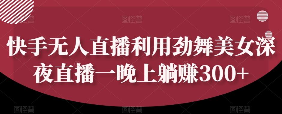 快手无人直播利用劲舞美女深夜直播一晚上躺赚300+-源码天堂