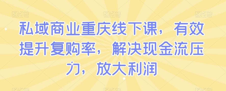 私域商业重庆线下课，有效提升复购率，解决现金流压力，放大利润-源码天堂