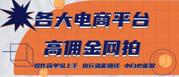 各大电商平台高佣金网拍，操作简单易上手，执行就能赚钱，小白也能做-源码天堂