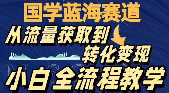 国学蓝海赛道，从流量获取，到转化变现，全流程教学-源码天堂