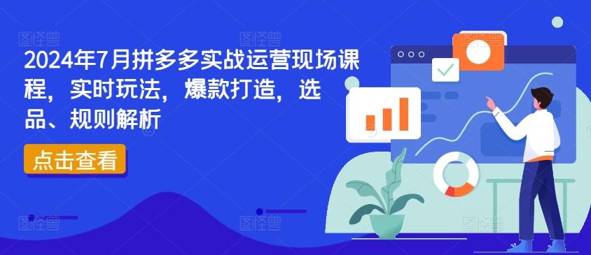2024年7月拼多多实战运营现场课程，实时玩法，爆款打造，选品、规则解析-源码天堂