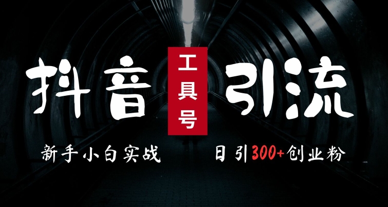 2024最新抖音工具号引流玩法，高效日引300+创业粉，当天变现5k，小白也可成为实战高手-源码天堂