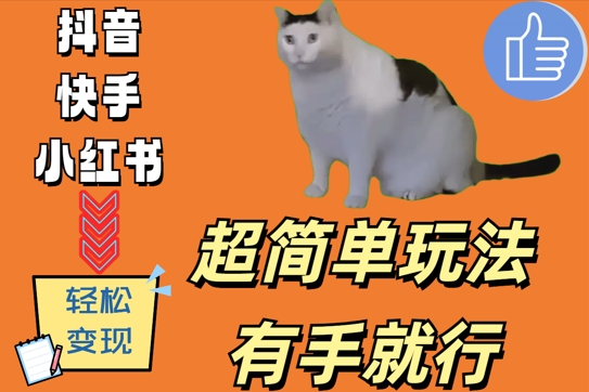 超简单玩法，有手就行，靠猫咪视频日入500+【揭秘】-源码天堂