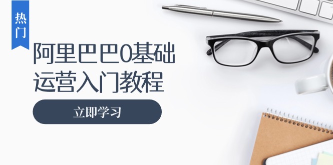 阿里巴巴运营零基础入门教程：涵盖开店、运营、推广，快速成为电商高手-源码天堂