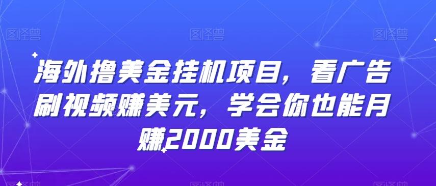 海外撸美金挂机项目，看广告刷视频赚美元，学会你也能月赚2000美金-源码天堂
