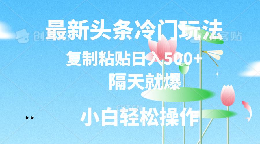 最新头条冷门玩法，隔天就爆，复制粘贴日入500+-源码天堂