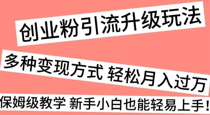 创业粉引流升级玩法，多种变现方式轻松月入过万，保姆级教学新手小白也能轻易上手！-源码天堂