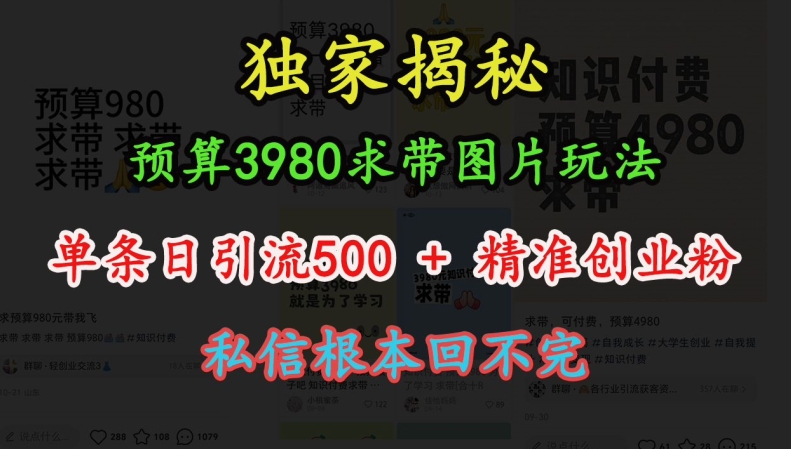 预算3980求带 图片玩法，单条日引流500+精准创业粉，私信根本回不完-源码天堂