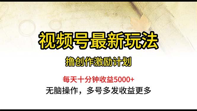 视频号最新玩法，每日一小时月入5000+-源码天堂
