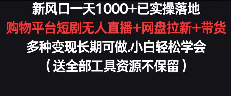 新风口一天1000+已实操落地购物平台短剧无人直播+网盘拉新+带货多种变现长期可做【揭秘】-源码天堂